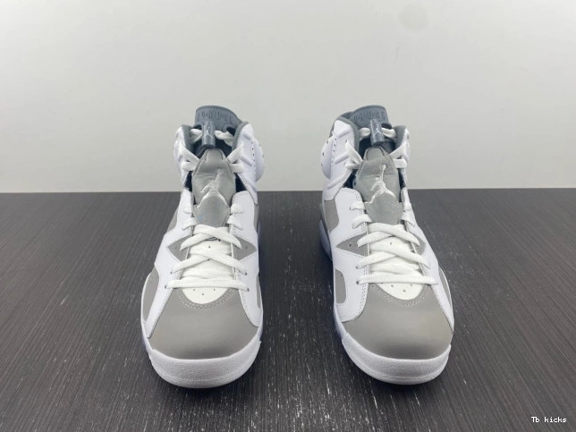 Reps TBK CT8529-100 Cool Jordan Grey Air 6 0709